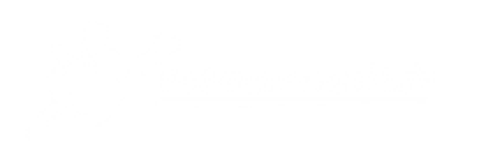 Motorenboerse24.de